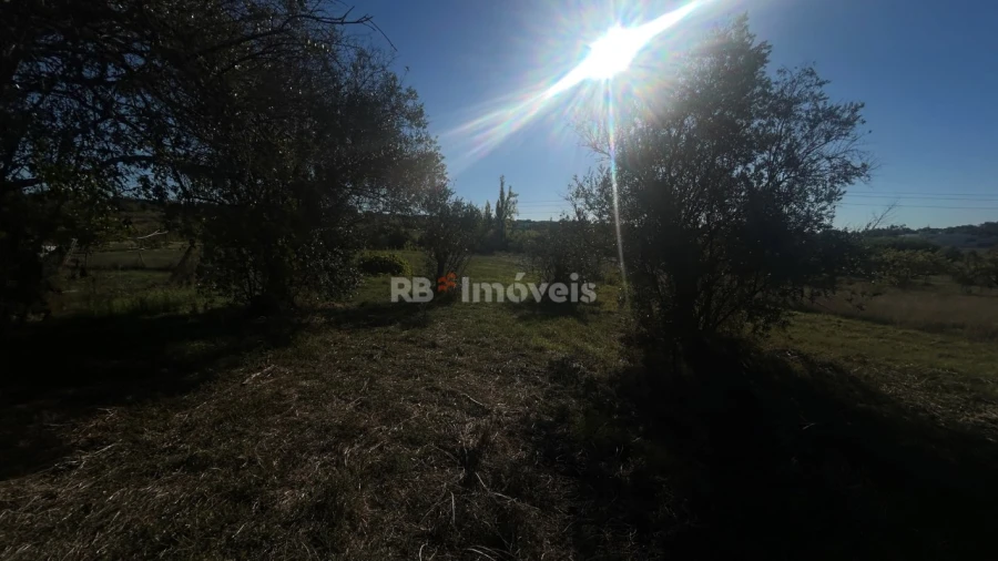 Moradia T2 para Venda em São João Baptista e Santa Maria dos Olivais Foto 8