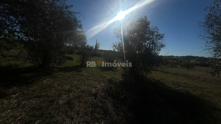 Moradia T2 para Venda em São João Baptista e Santa Maria dos Olivais Foto 10
