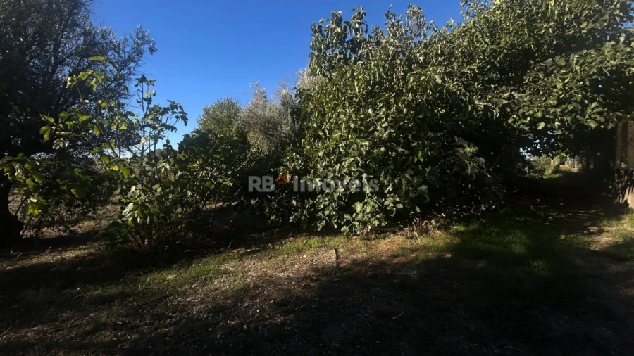 Moradia T2 para Venda em São João Baptista e Santa Maria dos Olivais Foto 12