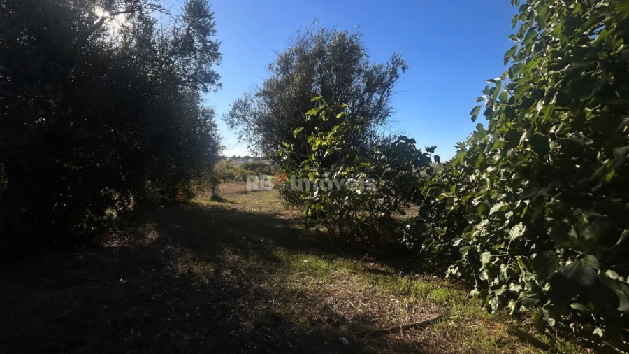 Moradia T2 para Venda em São João Baptista e Santa Maria dos Olivais Foto 13