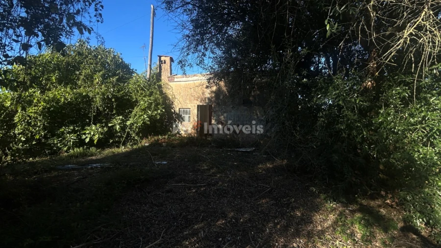 Moradia T2 para Venda em São João Baptista e Santa Maria dos Olivais Foto 4