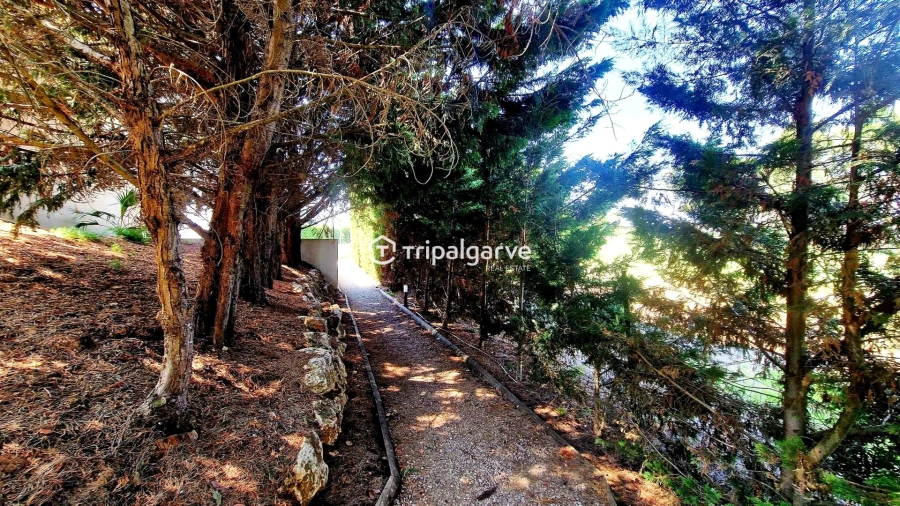 Apartamento T2 para Venda em Alvor Foto 21