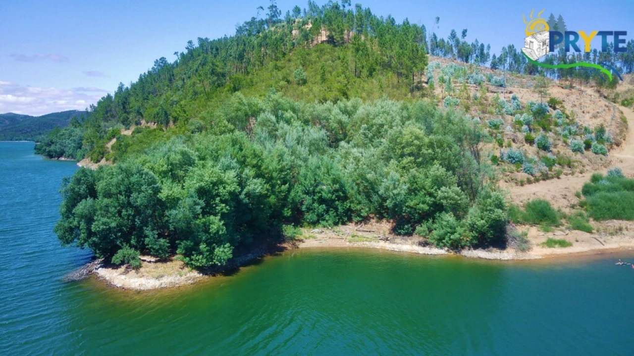 Terreno para Venda em Cernache do Bonjardim, Nesperal e Palhais Foto 9