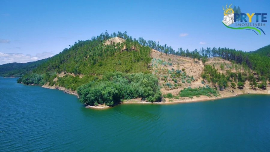 Terreno para Venda em Cernache do Bonjardim, Nesperal e Palhais Foto 5