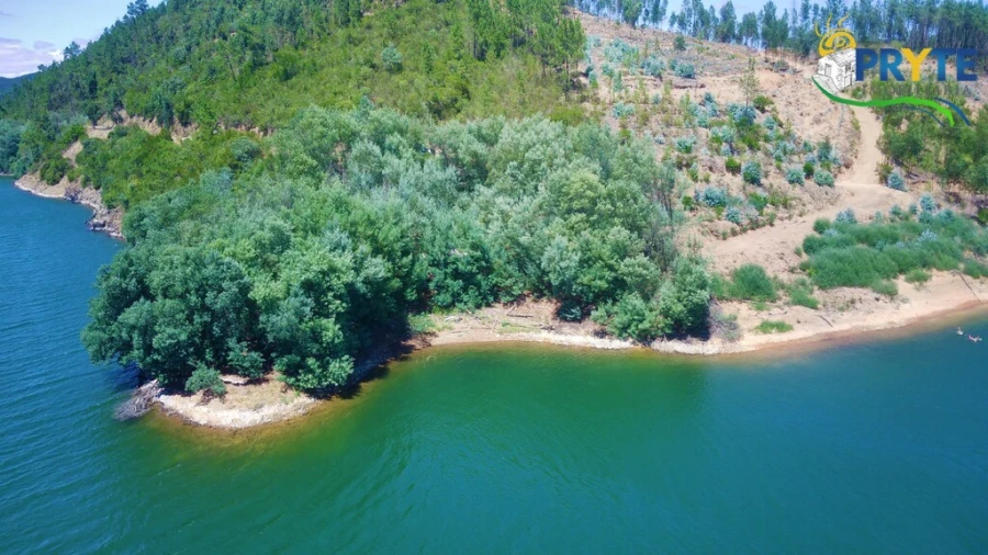 Terreno para Venda em Cernache do Bonjardim, Nesperal e Palhais Foto 8