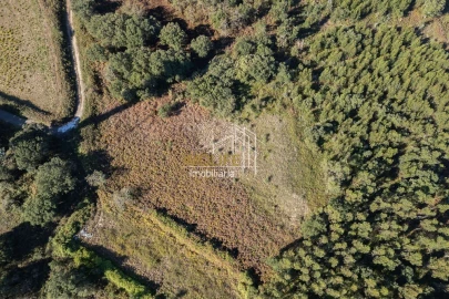 Terreno para Venda em Almargem do Bispo, Pêro Pinheiro e Montelavar