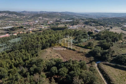 Terreno para Venda em Almargem do Bispo, Pêro Pinheiro e Montelavar