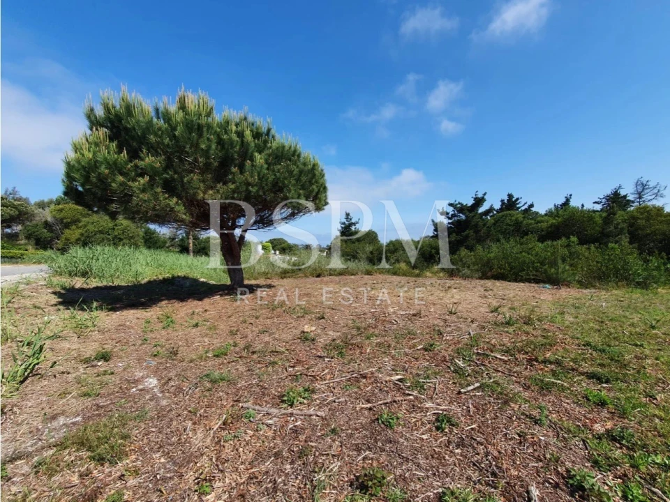 Terreno P/ Prédio para Venda em Vau Foto 12