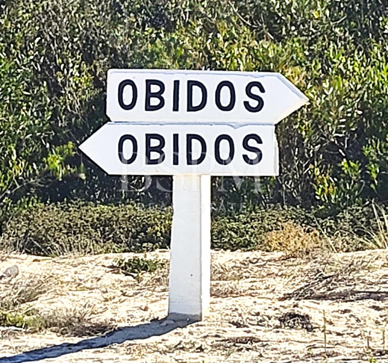 Terreno P/ Prédio para Venda em Vau Foto 22