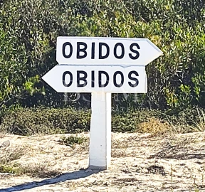 Terreno P/ Prédio para Venda em Vau