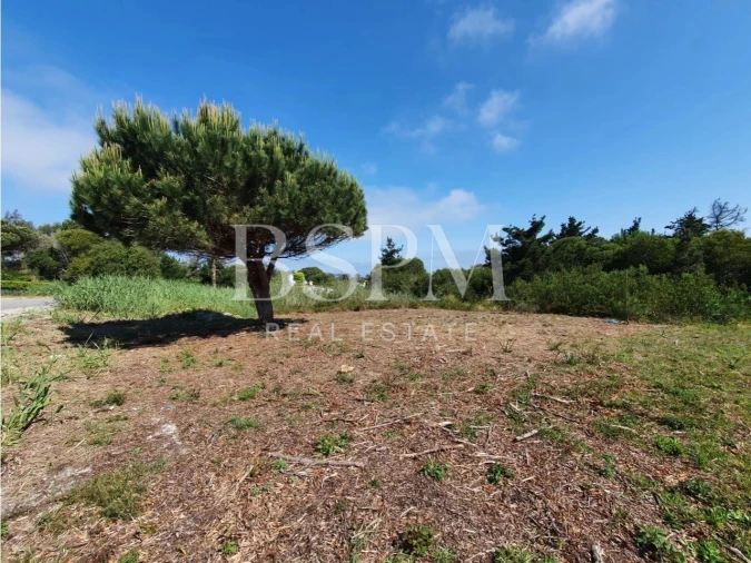 Terreno P/ Prédio para Venda em Vau Foto 12