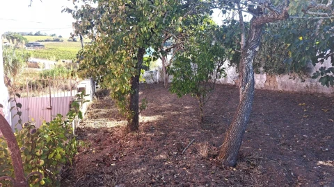 Moradia T2 para Venda em Carvoeira e Carmões