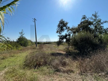 Terreno para Venda em Regueira de Pontes