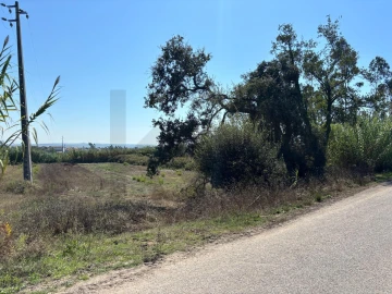 Terreno para Venda em Regueira de Pontes