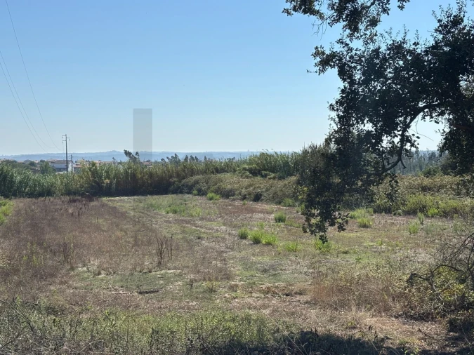 Terreno para Venda em Regueira de Pontes Foto 5