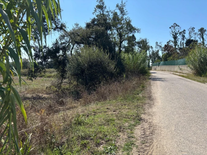 Terreno para Venda em Regueira de Pontes Foto 8