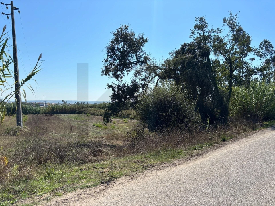 Terreno para Venda em Regueira de Pontes Foto 6