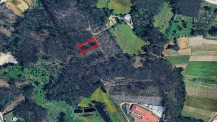 Terreno para Venda em Regueira de Pontes