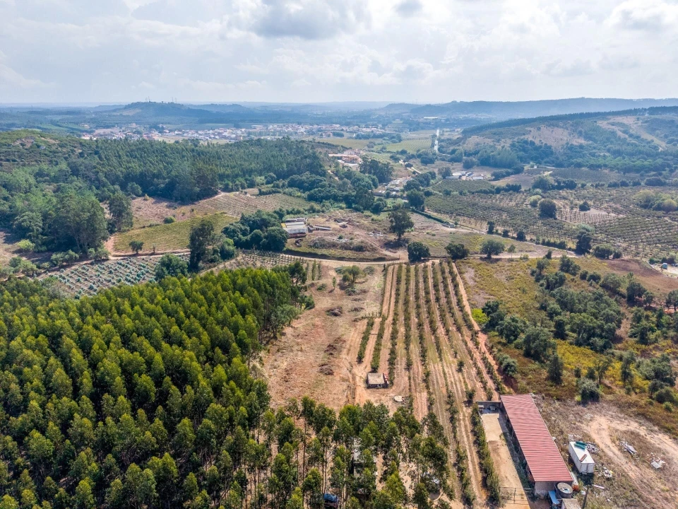 Terreno para Venda em Lamas e Cercal Foto 5