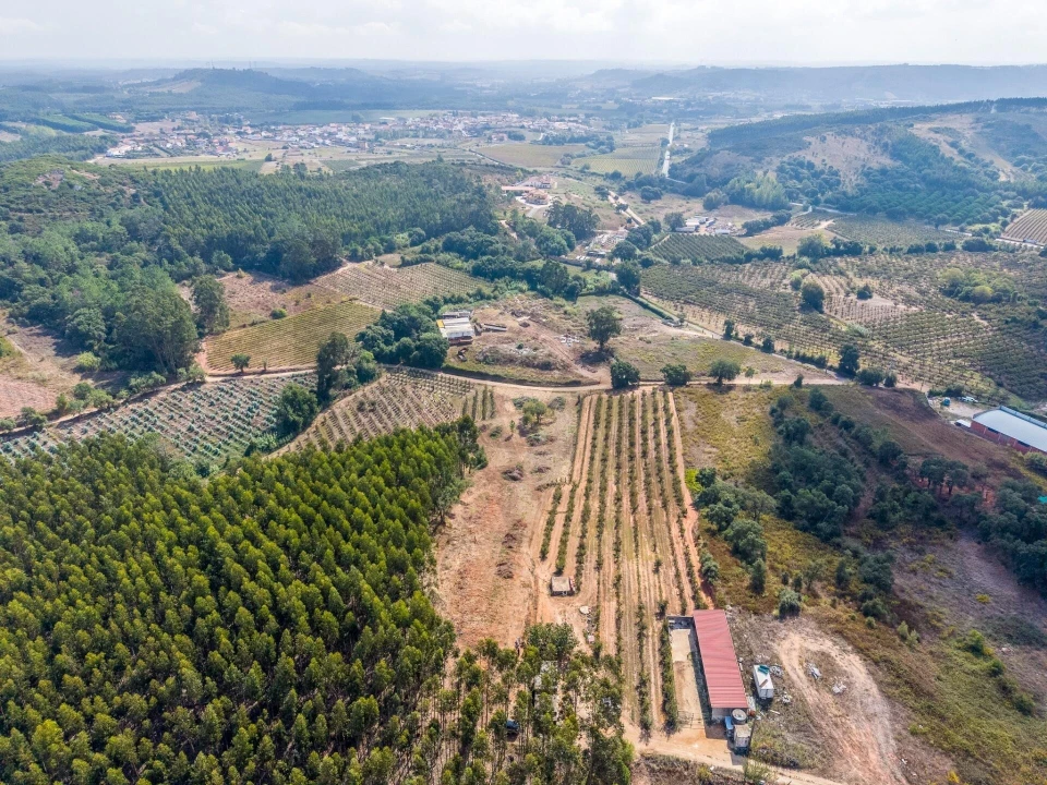 Terreno para Venda em Lamas e Cercal Foto 6