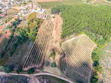 Terreno para Venda em Lamas e Cercal