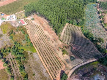 Terreno para Venda em Lamas e Cercal