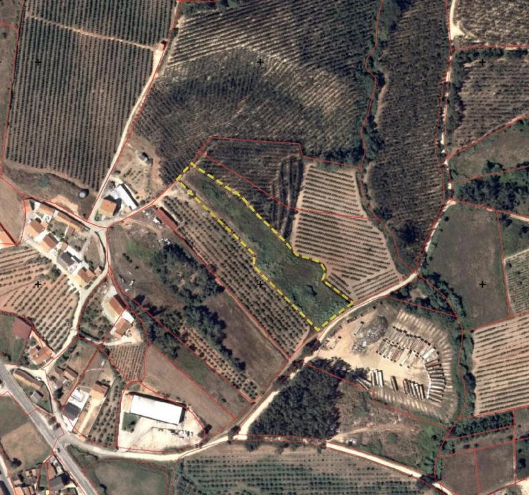 Terreno para Venda em Lamas e Cercal Foto 9