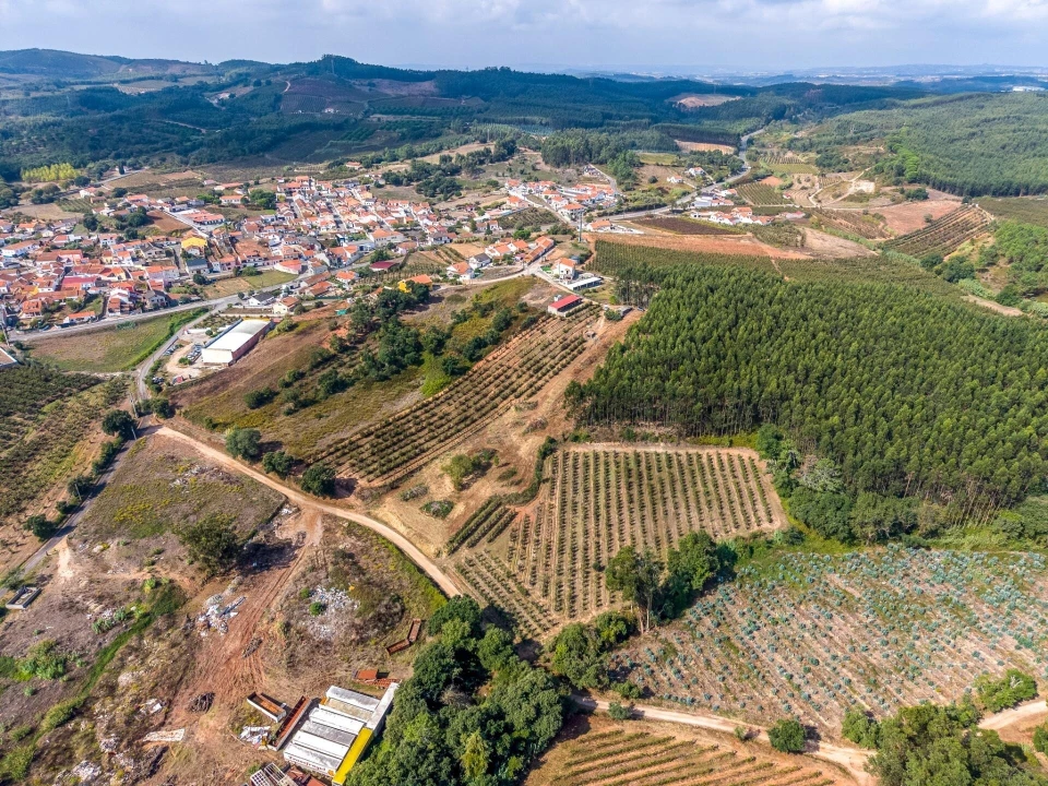 Terreno para Venda em Lamas e Cercal Foto 15