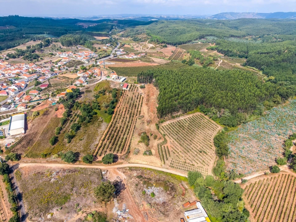 Terreno para Venda em Lamas e Cercal Foto 8