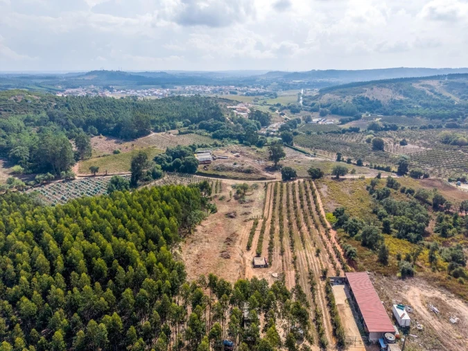 Terreno para Venda em Lamas e Cercal Foto 11