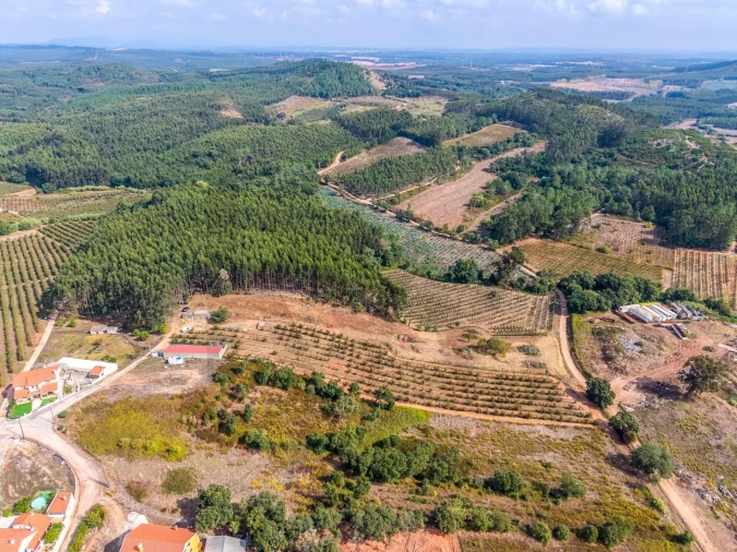 Terreno para Venda em Lamas e Cercal Foto 7