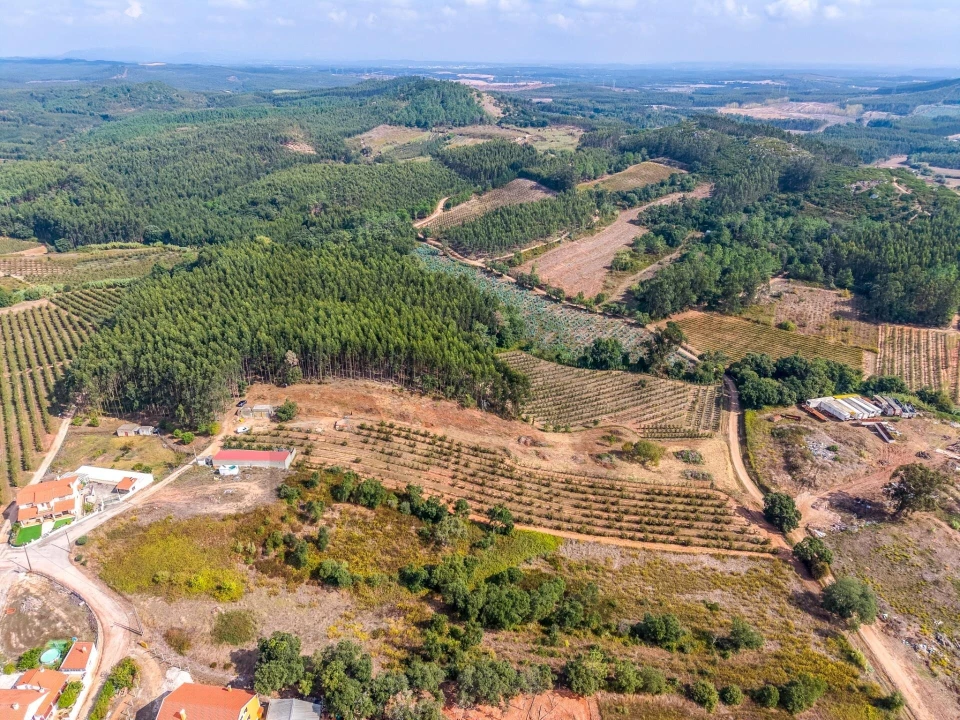 Terreno para Venda em Lamas e Cercal Foto 7