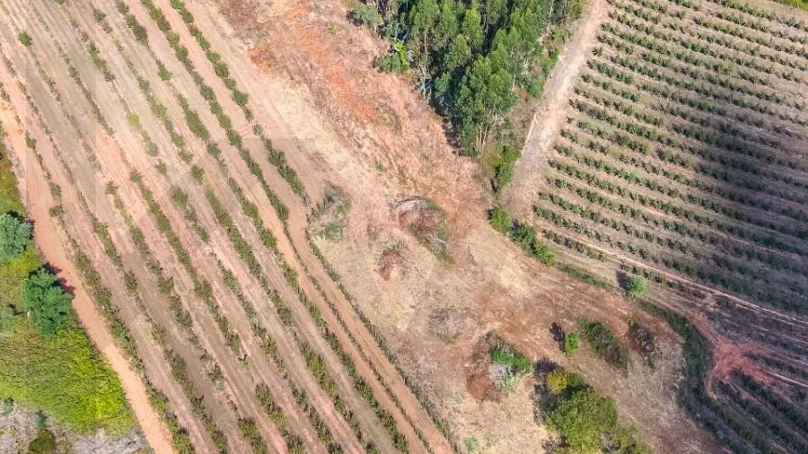 Terreno para Venda em Lamas e Cercal