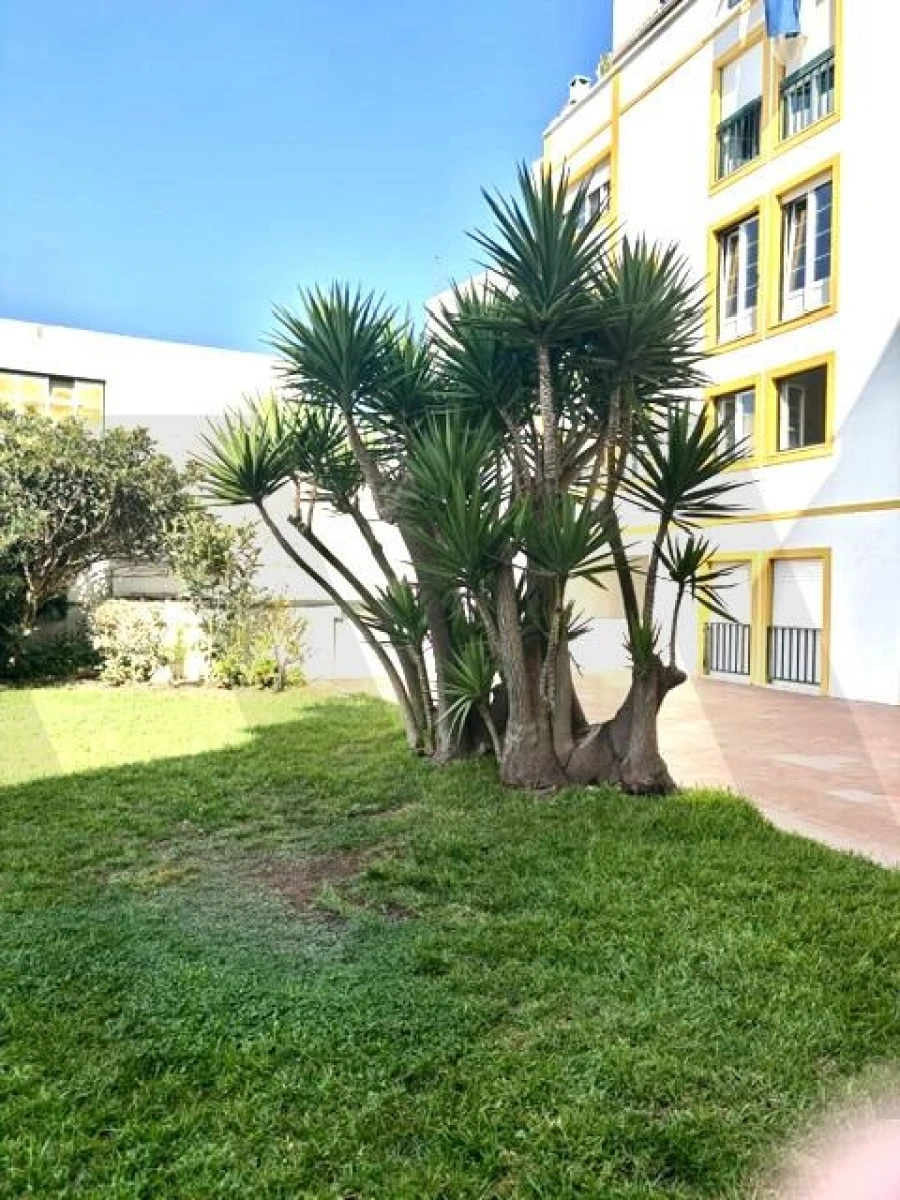 Apartamento T1 para Arrendamento em Silveira Foto 18