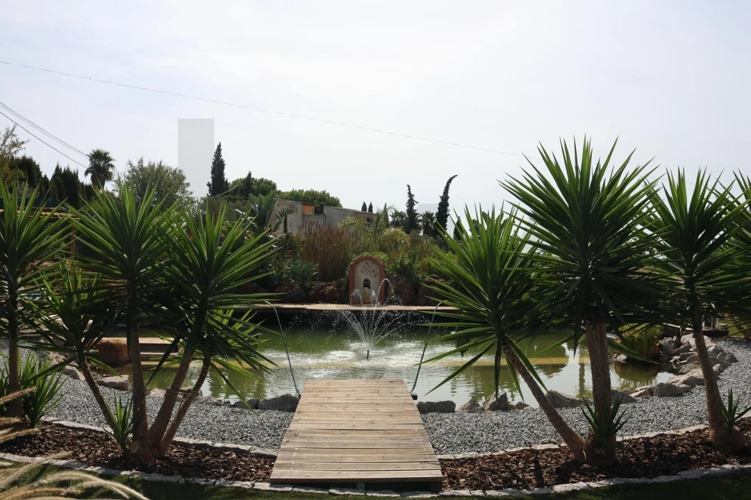 Quinta para Venda em Lagoa e Carvoeiro Foto 24