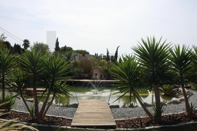 Quinta para Venda em Lagoa e Carvoeiro