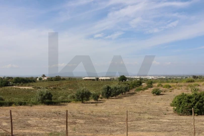 Quinta para Venda em Lagoa e Carvoeiro