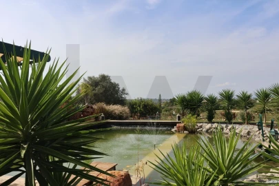 Quinta para Venda em Lagoa e Carvoeiro