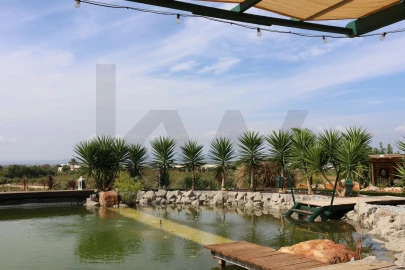 Quinta para Venda em Lagoa e Carvoeiro