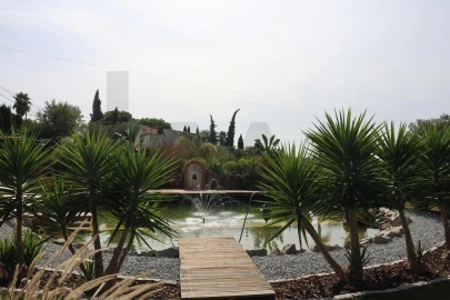 Quinta para Venda em Lagoa e Carvoeiro