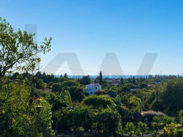 Quinta para Venda em Lagoa e Carvoeiro