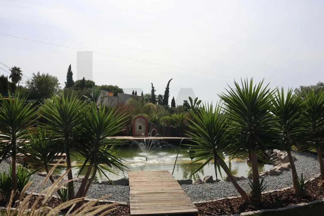 Quinta para Venda em Lagoa e Carvoeiro Foto 13