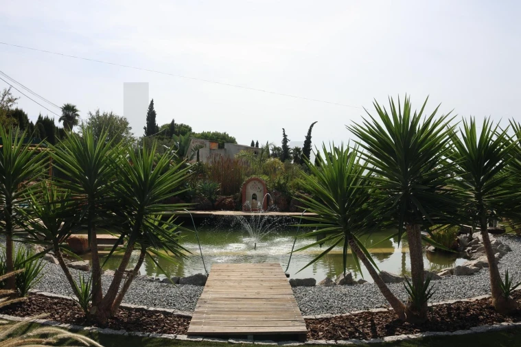 Quinta para Venda em Lagoa e Carvoeiro Foto 24