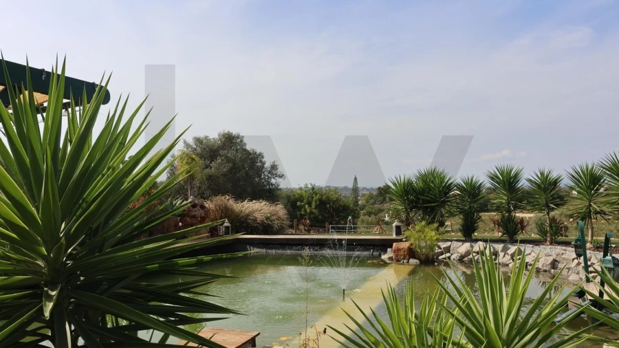 Quinta para Venda em Lagoa e Carvoeiro