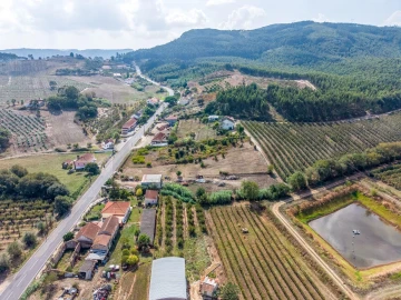 Terreno para Venda em Lamas e Cercal