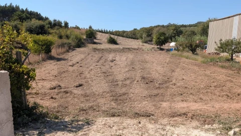 Terreno para Venda em Lamas e Cercal