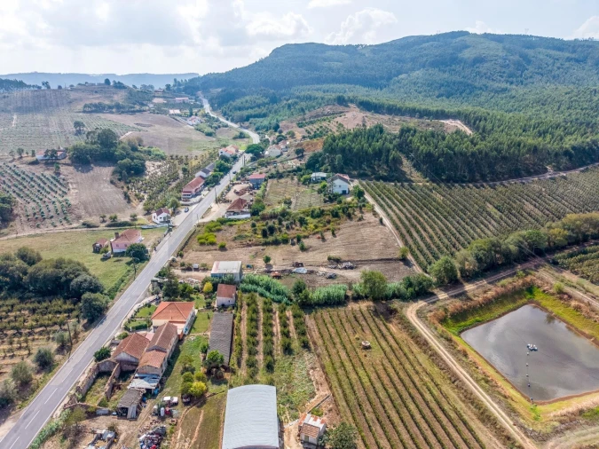 Terreno para Venda em Lamas e Cercal Foto 14