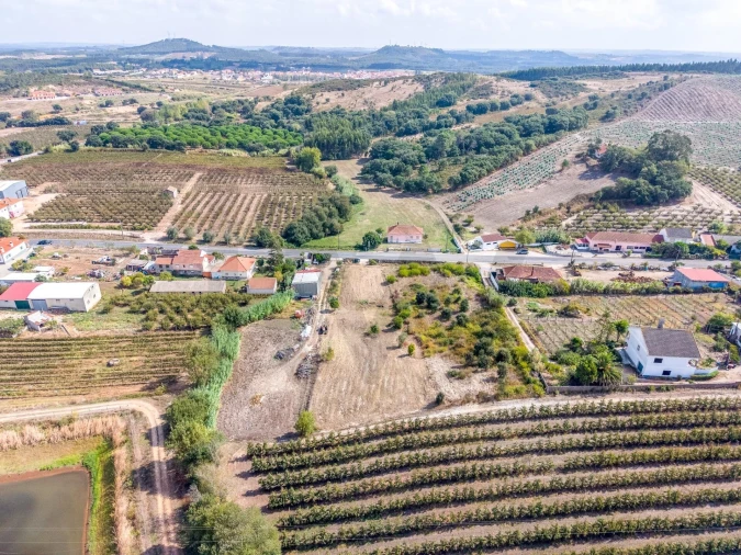 Terreno para Venda em Lamas e Cercal Foto 2