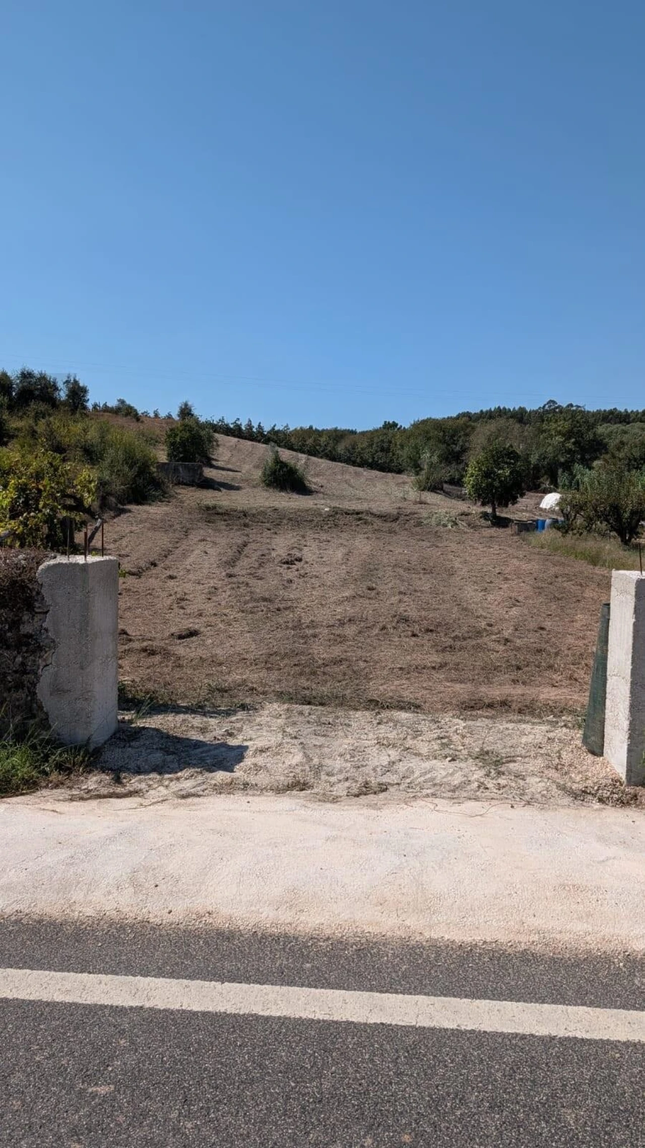 Terreno para Venda em Lamas e Cercal Foto 10