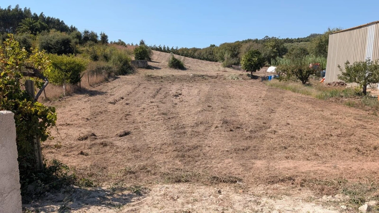 Terreno para Venda em Lamas e Cercal Foto 9